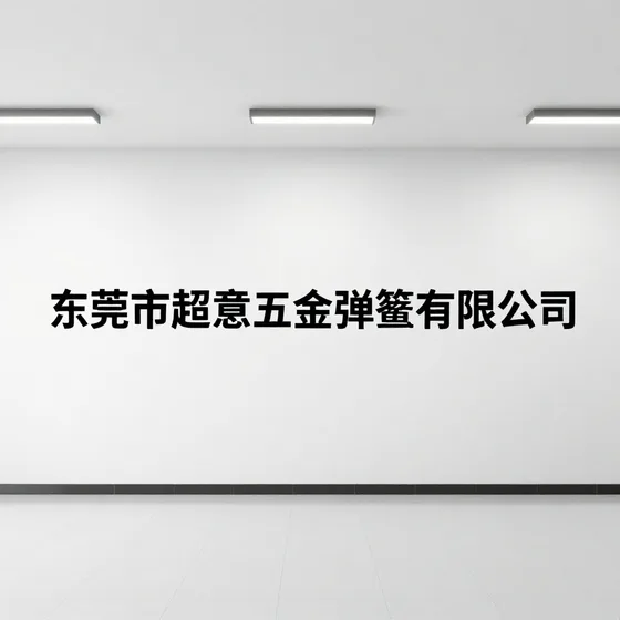东莞市超意五金弹簧有限公司