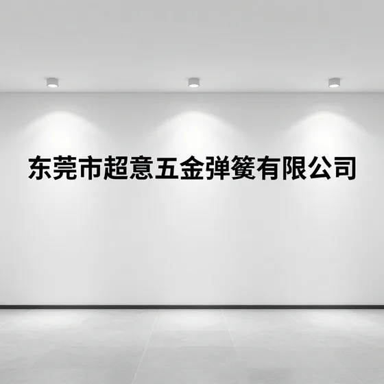 东莞市超意五金弹簧有限公司